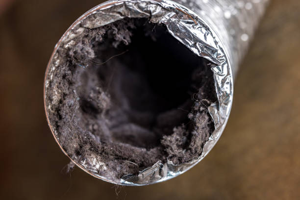 Best Ventilation Cleaning Services  in Mendota Heights, MN